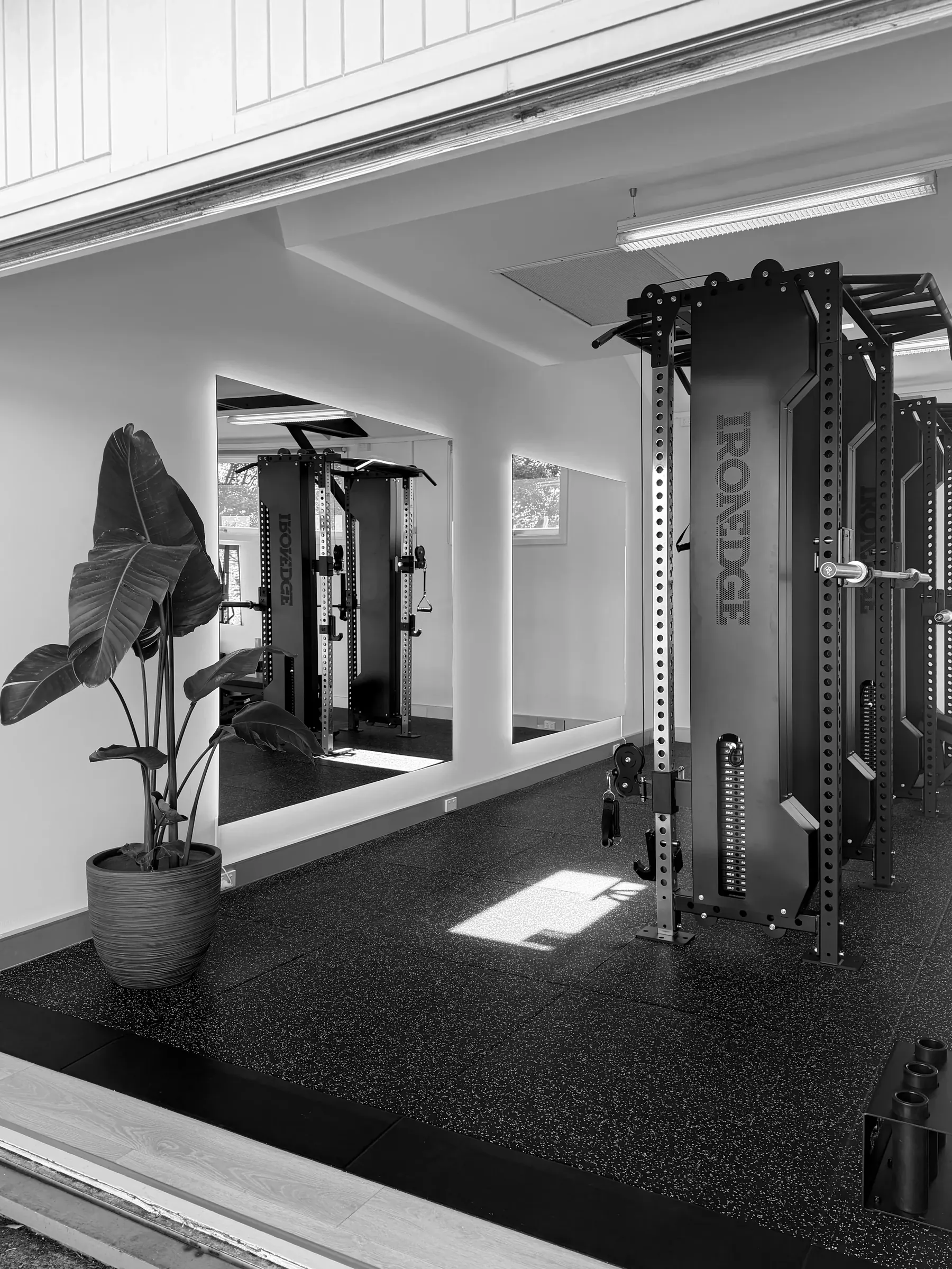 Plant and backlit mirror beside the training rig at Headland Strength and Performance